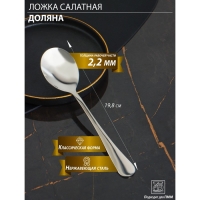 Ложка салатная из нержавеющей стали Доляна, длина 19,8 см, толщина 2,2 мм, 410 сталь, цвет серебряный