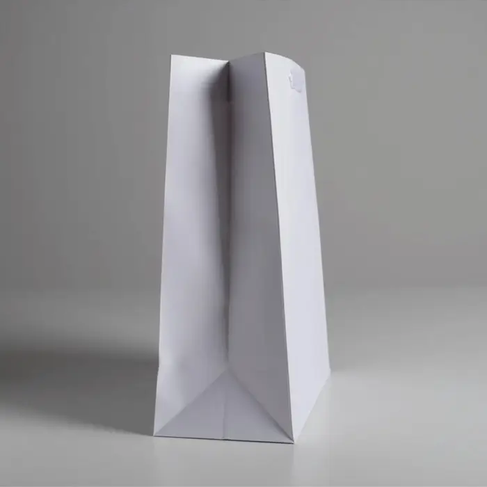 Пакет подарочный, упаковка, &laquo;Белый&raquo;, M 25.5&times;30&times;9 см