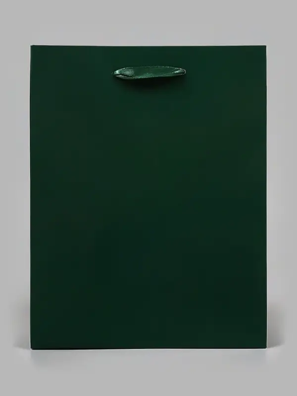 Пакет подарочный ламинированный &laquo;Зелёный&raquo;, 18&times;23&times;10 см