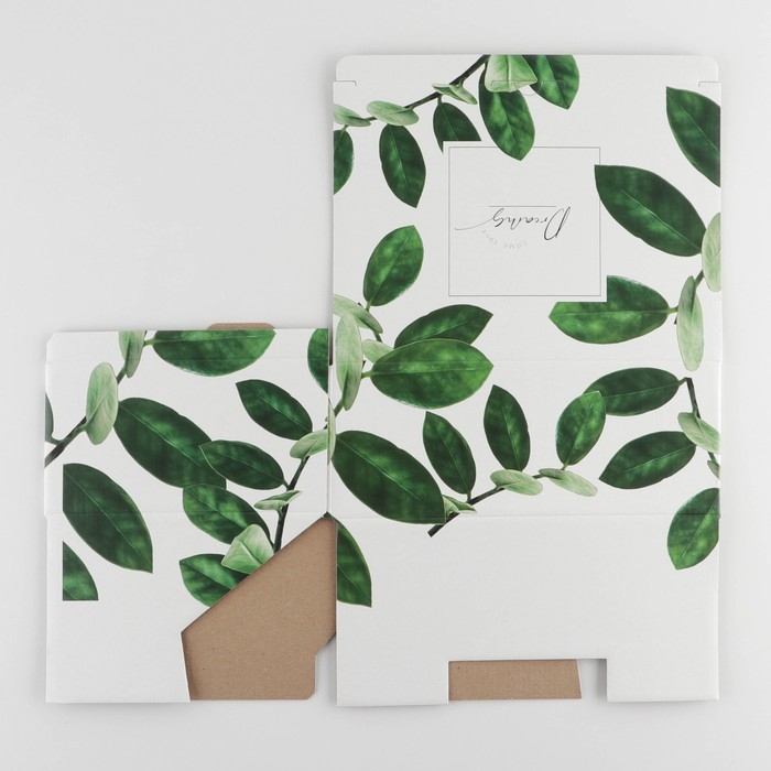 Коробка‒пенал, упаковка подарочная, «Dreams», 26 х 19 х 10 см Коробка‒пенал, упаковка подарочная, «Dreams», 26 х 19 х 10 см