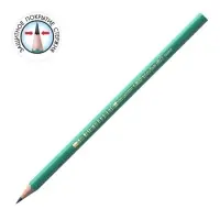 Карандаш чернографитный BIC. Evolution, НВ, шестигранный, пластиковый, зелёный корпус