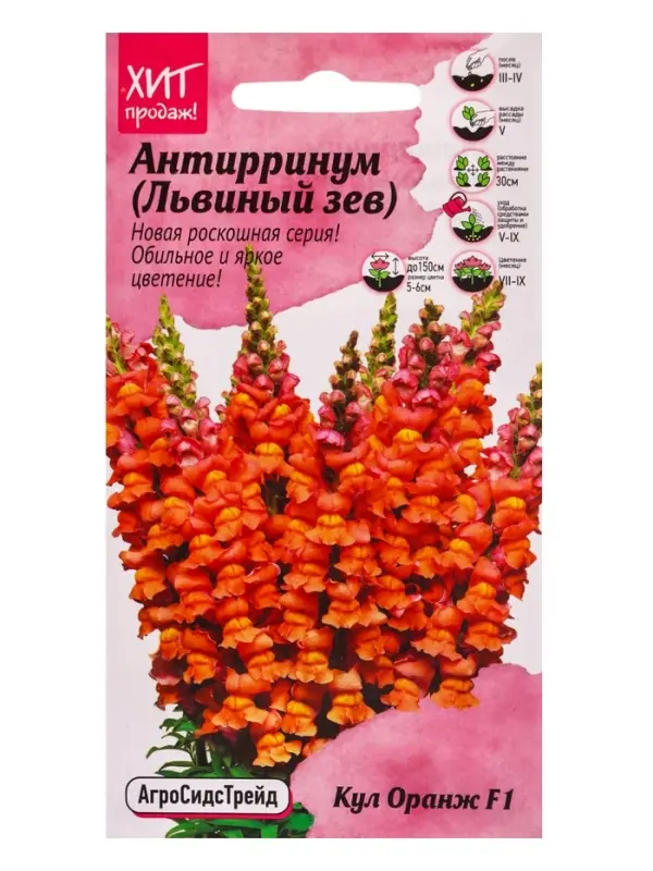 Семена цветов Антирринум Кул Оранж 10 шт