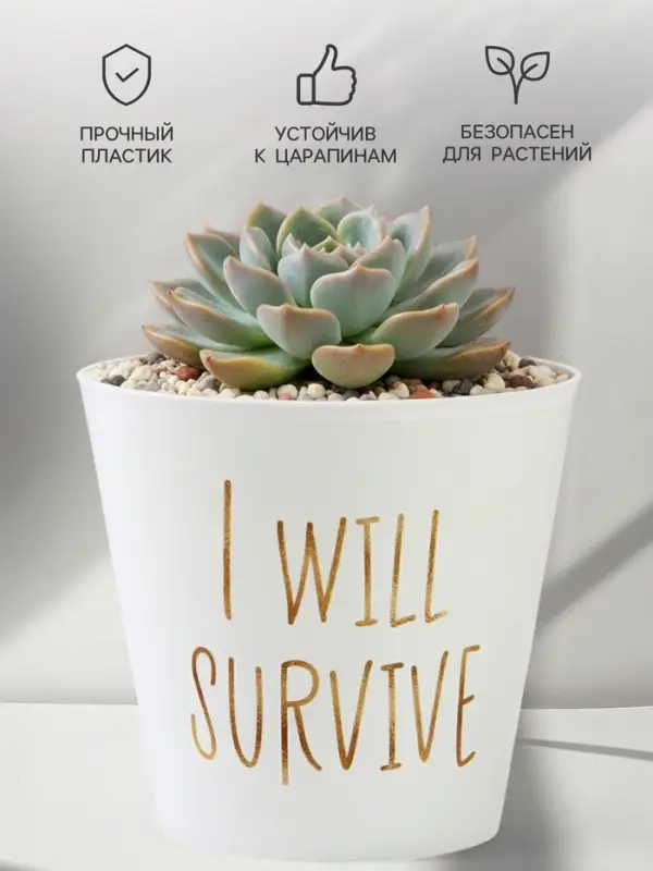 Кашпо для цветов &laquo;Я выживу&raquo;, 800 мл, d=12 см, h=11 см, пластиковое