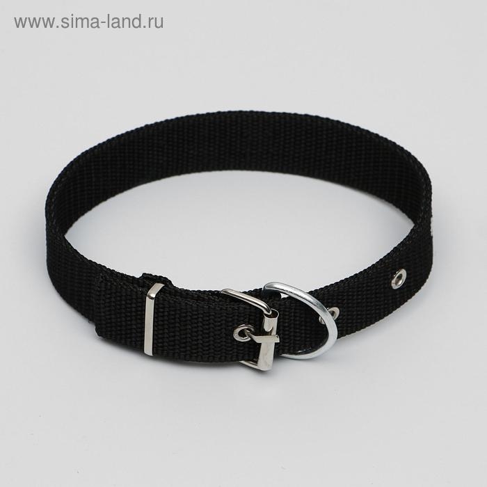 Ошейник для животных Ошейник для животных