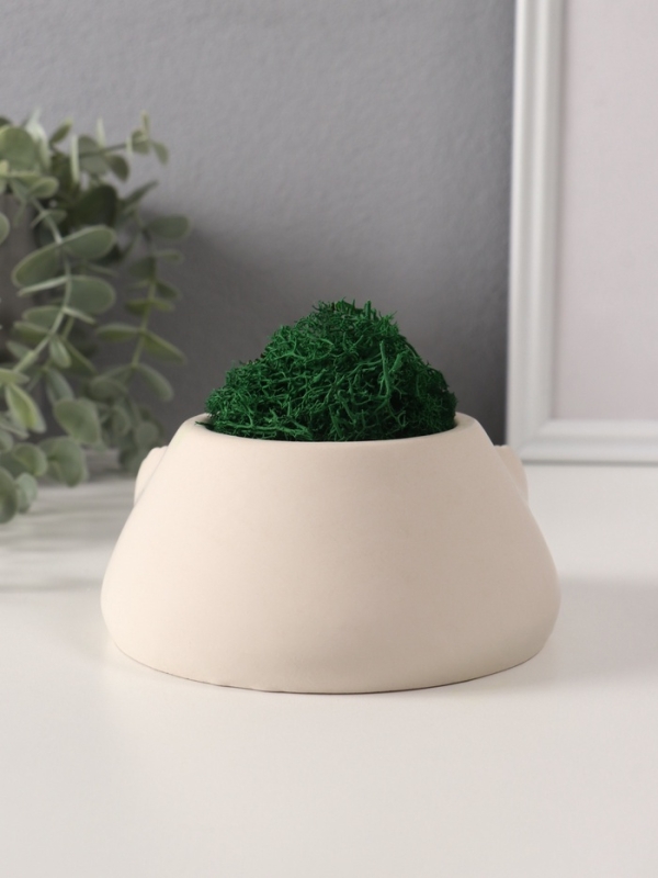 Кашпо бетонное  Кашпо бетонное "Злобный смех" со мхом 15,5*12,5*6 см белый (мох зеленый стабилизирован)