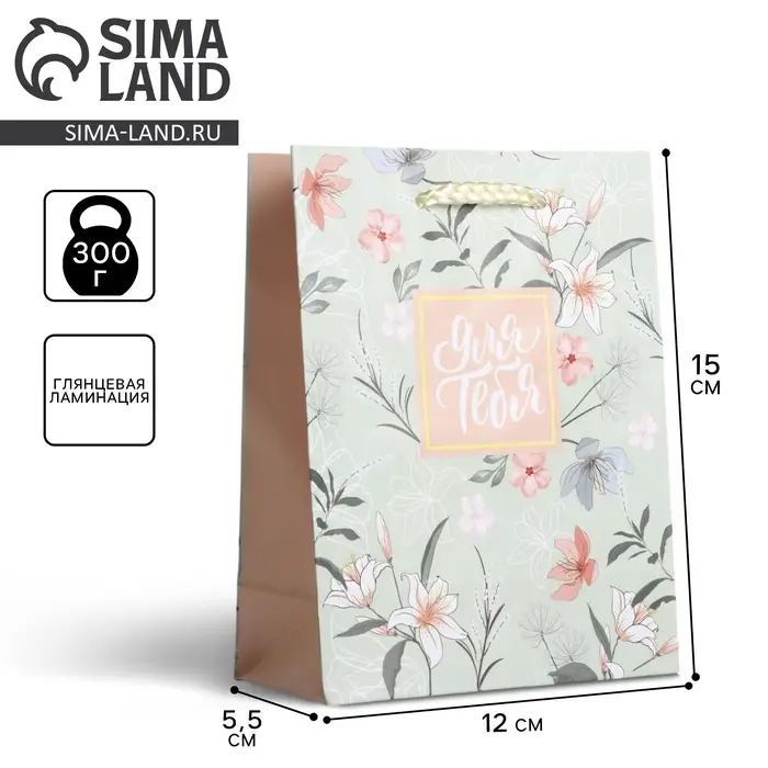 Пакет подарочный ламинированный, упаковка, Just for you, S 12 х 15 х 5.5 см