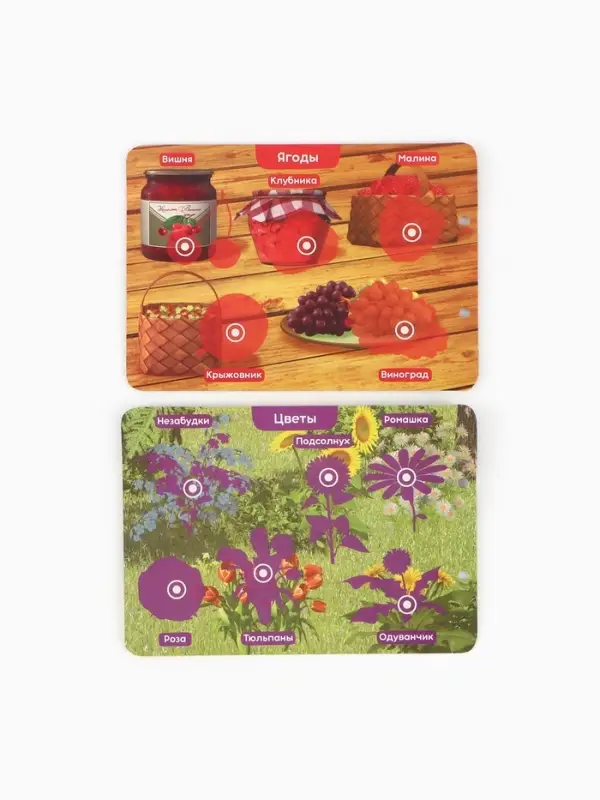 Большая книга с липучками &laquo;Маша и Медведь&raquo;, А5, 100 липучек