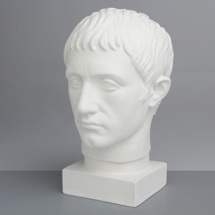 Гипсовая фигура Голова Германика, 19 х 25 х 36 см Гипсовая фигура Голова Германика, 19 х 25 х 36 см