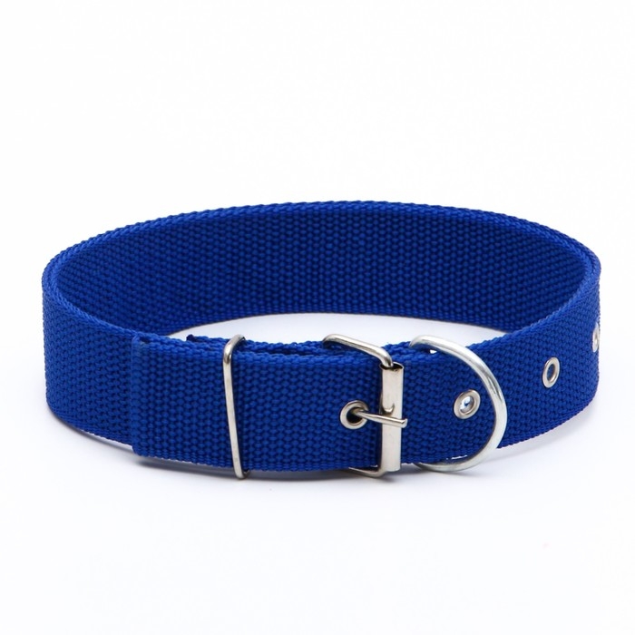 Ошейник клепаный, 48,5 х 3 см, ОШ 31-40 см, полиэстер, синий Ошейник клепаный, 48,5 х 3 см, ОШ 31-40 см, полиэстер, синий