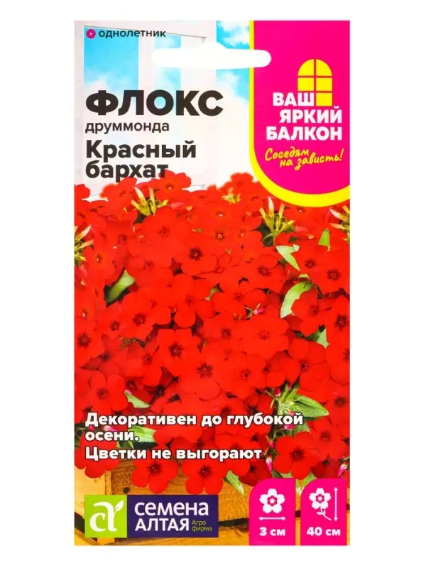 Семена цветов Флокс Друммонда &laquo;Красный Бархат&raquo;, 0.05 г, &laquo;Семена Алтая&raquo;