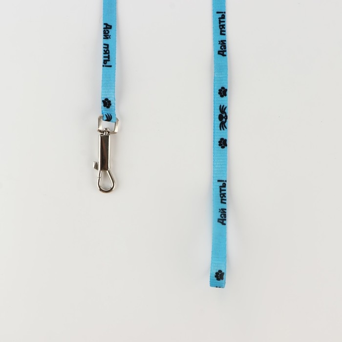 Комплект «Дай пять!», шлейка 26-39 см, поводок 120х1 см, медальон Комплект «Дай пять!», шлейка 26-39 см, поводок 120х1 см, медальон