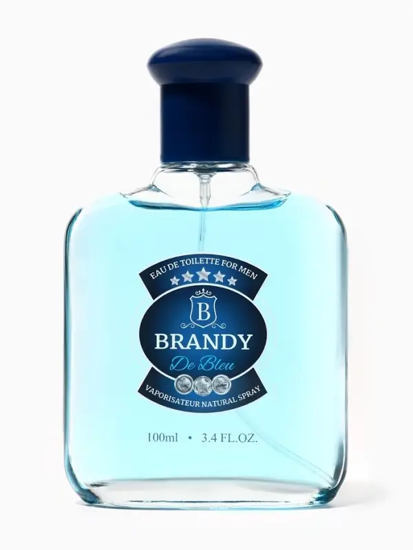 Туалетная вода мужская Brandy De Bleu, 100 мл