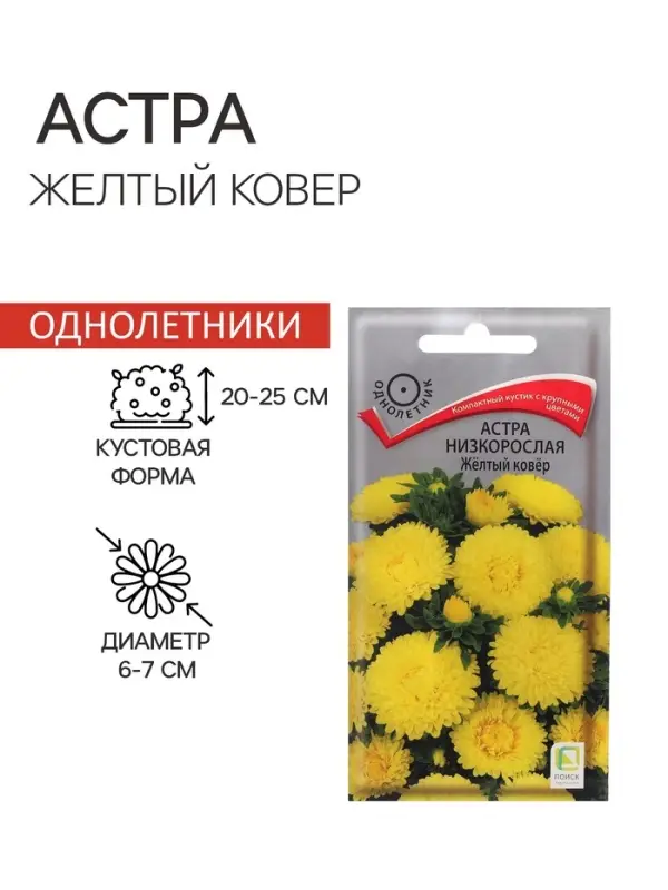 Семена цветов Астра низкорослая  Семена цветов Астра низкорослая "Желтый ковер", 0,2 г