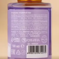 Новогодний подарочный набор косметики &laquo;Мечтай&raquo;: гель для душа 2&times;100 мл и мочалка для тела, URAL LAB