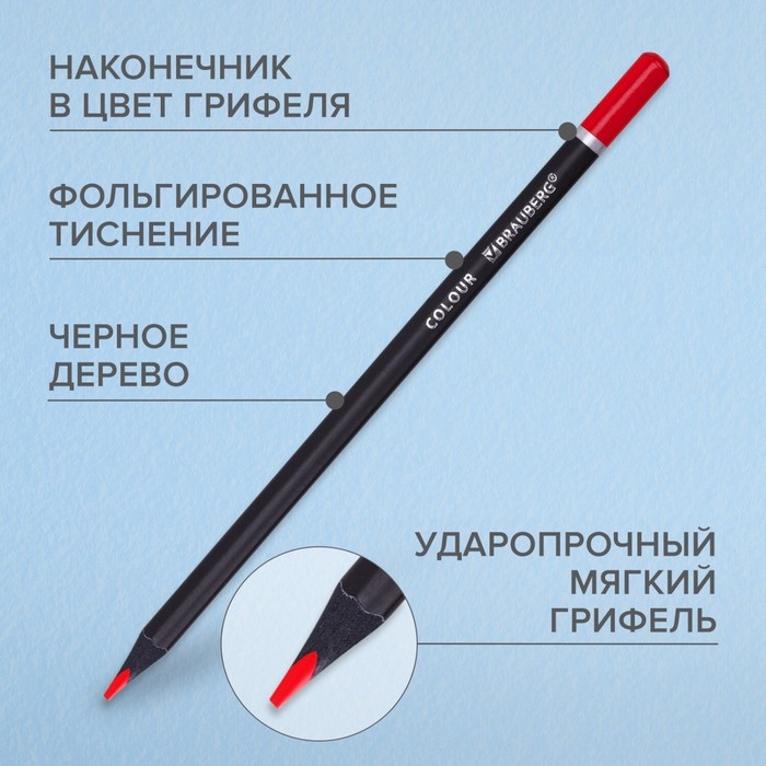 Карандаши 24 цвета BRAUBERG BLACK WOOD, трёхгранные, диаметр грифеля 3 мм, чёрное дерево Карандаши 24 цвета BRAUBERG BLACK WOOD, трёхгранные, диаметр грифеля 3 мм, чёрное дерево
