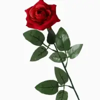 Цветы искусственные &laquo;Роза&raquo;, h=56 см, d=8.5 см, красные
