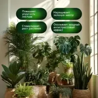Органическое удобрение для фикусов и пальм Greenlife, 500 мл