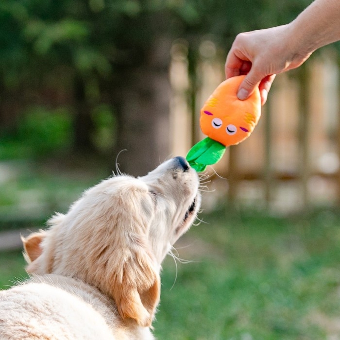 Игрушка для собак «Морковка» с пищалкой, 18 см, оранжевая Игрушка для собак «Морковка» с пищалкой, 18 см, оранжевая