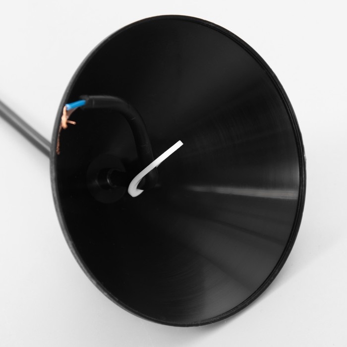 Люстра Люстра "Хоста" 1х15Вт Е27 МОДЕЛЬ: BR 00261 черный/белый 29х29х13см