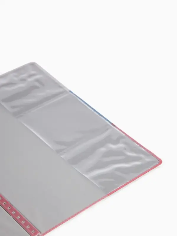 Обложка для паспорта, триколор