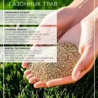 Газонная травосмесь&laquo;Красотень&raquo;, Спринтер, 0.5 кг