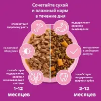 Влажный корм Whiskas для котят, рагу курица, 75 г