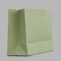 Пакет подарочный, ламинированный, горизонтальный, &laquo;Хаки&raquo;, 28&times;20&times;10 см