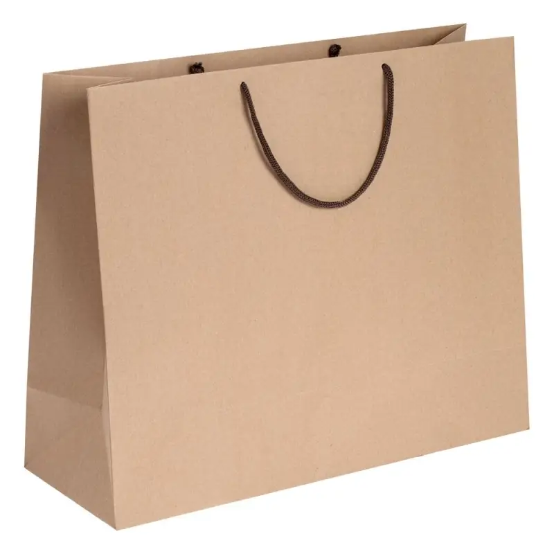 Пакет бумажный &laquo;Крафт&raquo;, L, неокрашенный