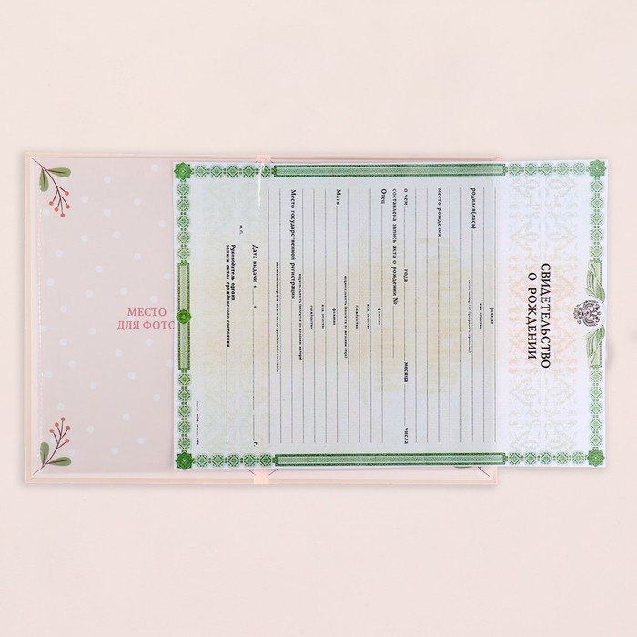 Папка под свидетельство о рождении  Папка под свидетельство о рождении "Девочка" бантик, веточки, А5
