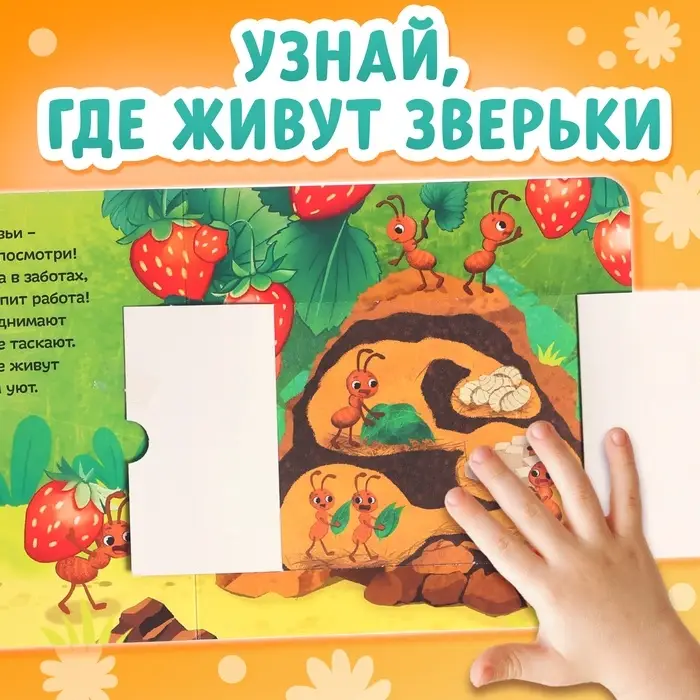 Картонные книги с окошками &laquo;Что внутри?&raquo;, набор 3 шт. по 12 стр.