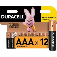 Батарейка DURACELL BASIC ААA/LR03-12BL