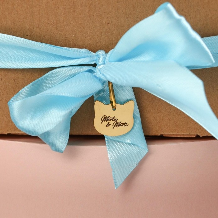 Мягкая игрушка «Модница Marta», кошечка, 25 см Мягкая игрушка «Модница Marta», кошечка, 25 см