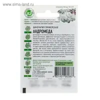 Семена цветов Цинерария приморская &laquo;Андромеда&raquo;, 0.05 г, серия ХИТ х3