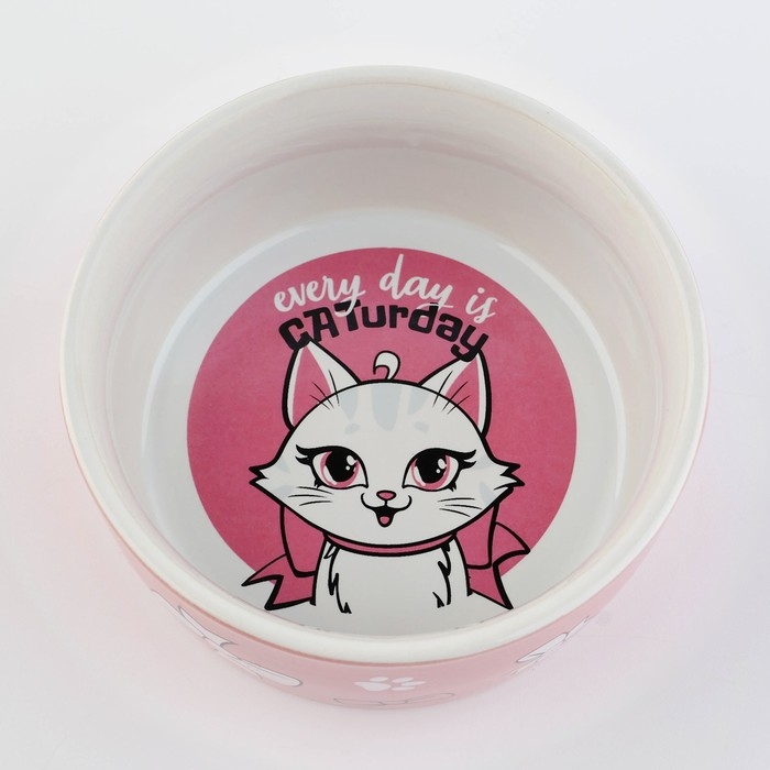 Миска керамическая CATurday, 200 мл, для кошек Миска керамическая CATurday, 200 мл, для кошек