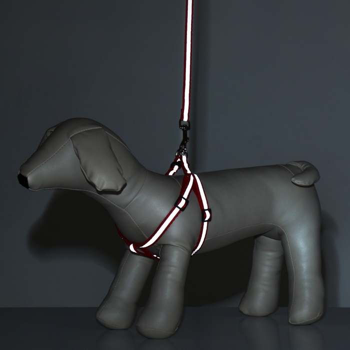 Комплект  Комплект "Спорт" светоотражающий, поводок 120 х 1 см, ОГ 23-35 см, красный