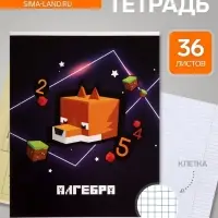 Предметная тетрадь по алгебре Calligrata &laquo;Пиксели&raquo;, 36 листов, в клетку, со справочным материалом, обложка из мелованного картона