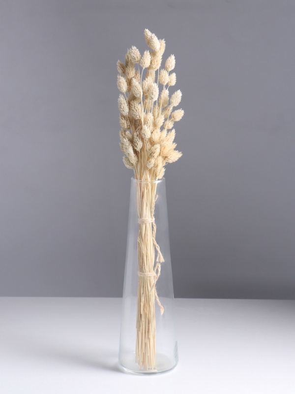 Набор сухоцветов "Фаларис", банч длина 55 (+/- 6 см), выбеленный