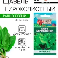 Семена Щавель "Широколистный", 1 г