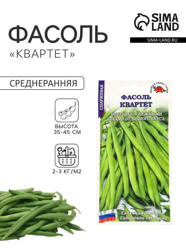 Семена Фасоль спаржевая &laquo;Квартет&raquo;, 3 г, кустовая, &laquo;Золотая Сотка Алтая&raquo;