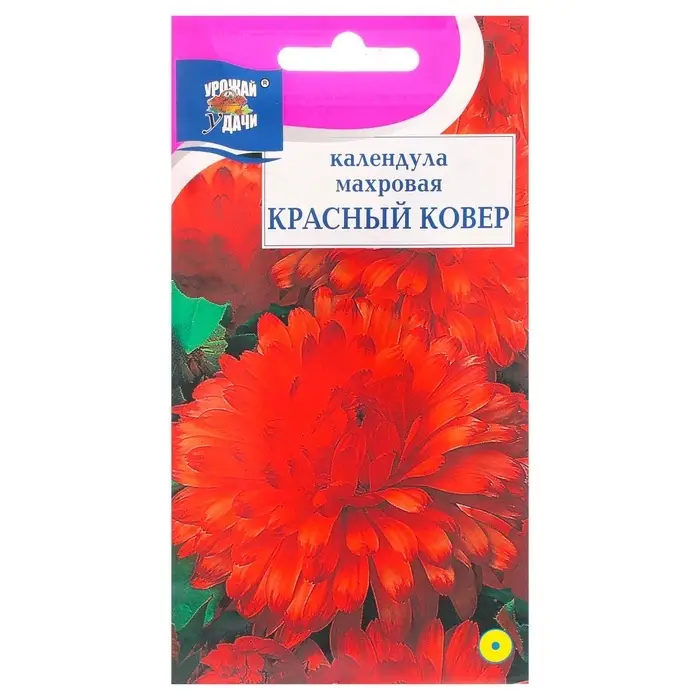 Семена цветов Календула махровая «Красный ковёр», 0.3 г, «Урожай удачи» Семена цветов Календула махровая «Красный ковёр», 0.3 г, «Урожай удачи»