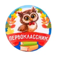 Значок закатной школьный на 1 Сентября «Первоклассник», совенок, d=56 мм