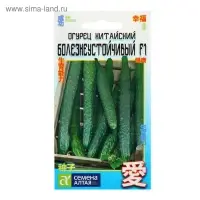 Семена Огурец Китайский болезнеустойчивый, среднеранний, партенокарпический, цп, 6 шт