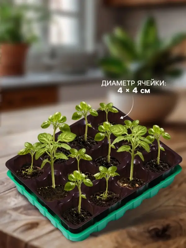 Набор для рассады: торфяная таблетка d=4.1 см, 12 шт., кассета на 12 ячеек по 40 мл, поддон 20.5&times;17 см, зелёный, пластик, Экоторф