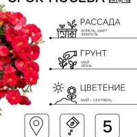 Семена цветов Петуния &laquo;Нуволари&raquo;, полуампельная, фуксия, F1, 5 шт., Farao, &laquo;АЭЛИТА&raquo;