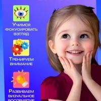 Развивающий набор &laquo;Мои первые картинки&raquo;, 80 карточек, 0+