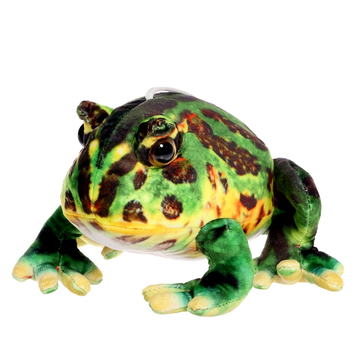 Мягкая игрушка «Лягушка», 17 см Мягкая игрушка «Лягушка», 17 см