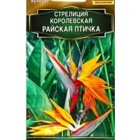 Семена цветов Стрелиция королевская Райская птичка Мн Золотая серия, Ц/П,3 шт. Семена цветов Стрелиция королевская Райская птичка Мн Золотая серия, Ц/П,3 шт.