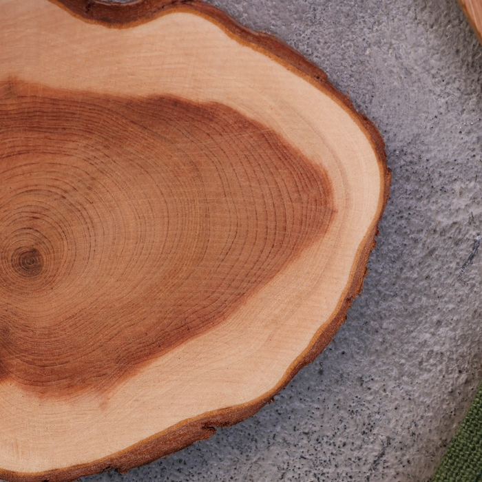 Подставка под кружку, цельная, 8-10 см, можжевельник Подставка под кружку, цельная, 8-10 см, можжевельник