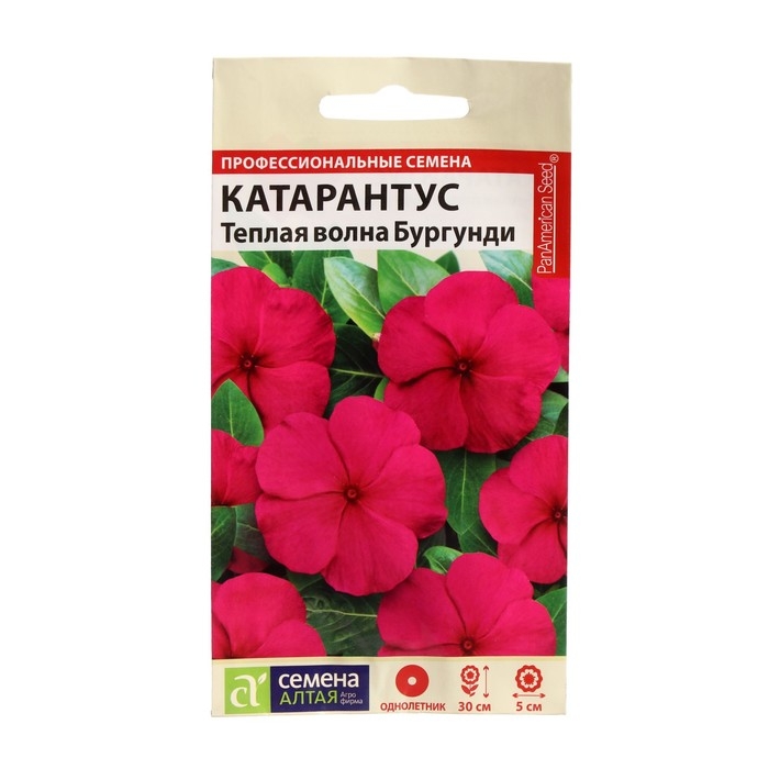 Семена цветов Катарантус Семена цветов Катарантус "Теплая волна", бургунди, 5 шт