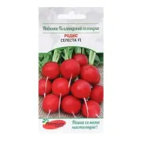Семена Редис "Селеста", F1, 0,5 г Семена Редис "Селеста", F1, 0,5 г